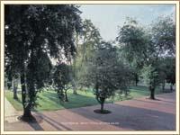 Summer Place - A experience to remember