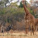 The secluded, tranquil Out of Africa village