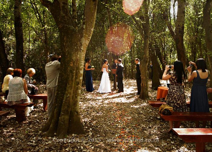 Ideallic country venue on the banks of the Crocodile River