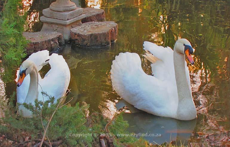 The Country charm of Pheasant Hill