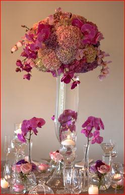 Extrodinary Flower Power