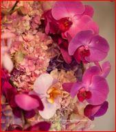 Extrodinary Flower Power