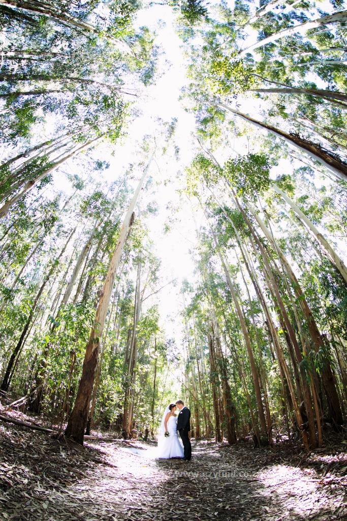 Elegant Country Epitomised - The Pefect Wedding Venue