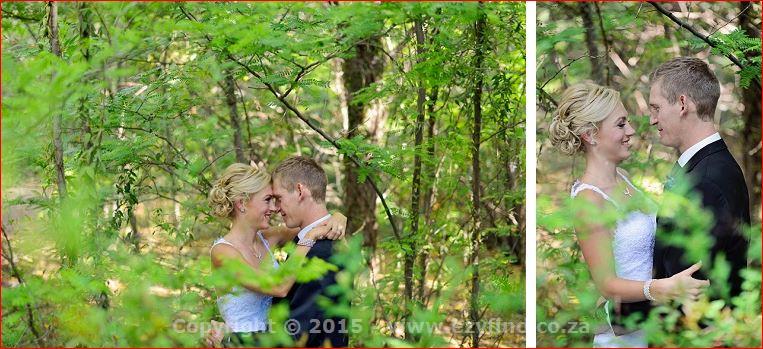 Creative Photography