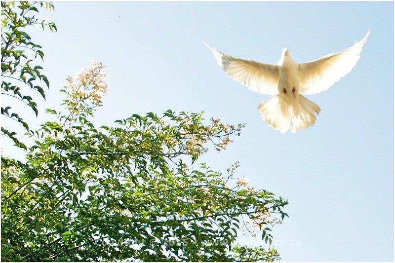 A venue of distinction