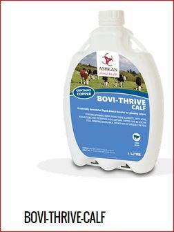 Innovative Animal Health