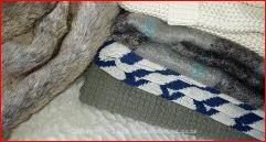 Innovative Bridal Registry