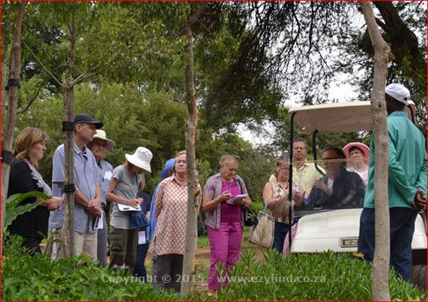 Conferencing in Lush Surroundings