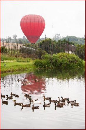 On the Edge of the Cradle of Mankind