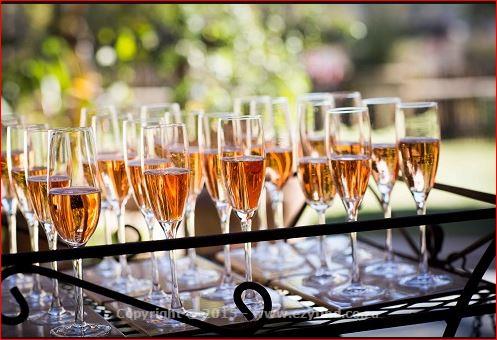 On the Edge of the Cradle of Mankind