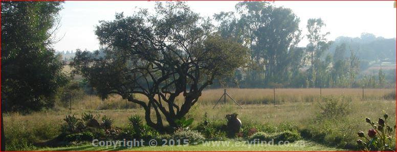 Beautiful Hartley Manor