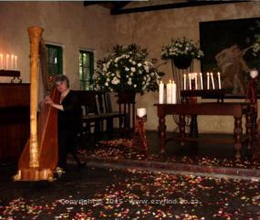 Professional Harpist for weddings or any occasion