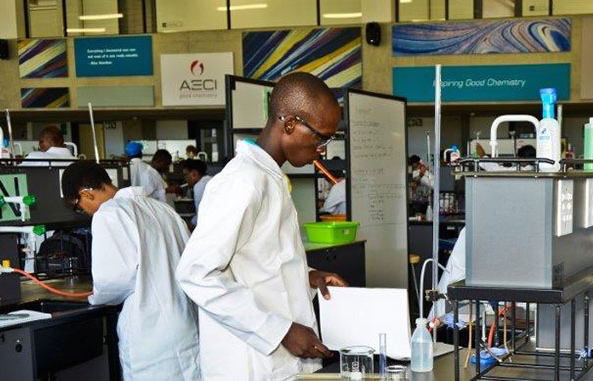 Detergents / Chemicals