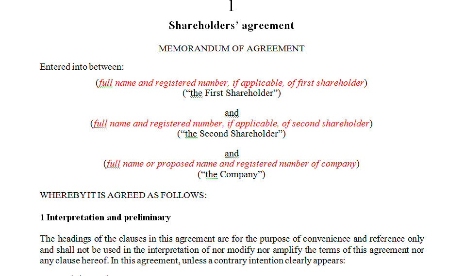 shareholders-agreement-template-south-africa-nicholas-jones